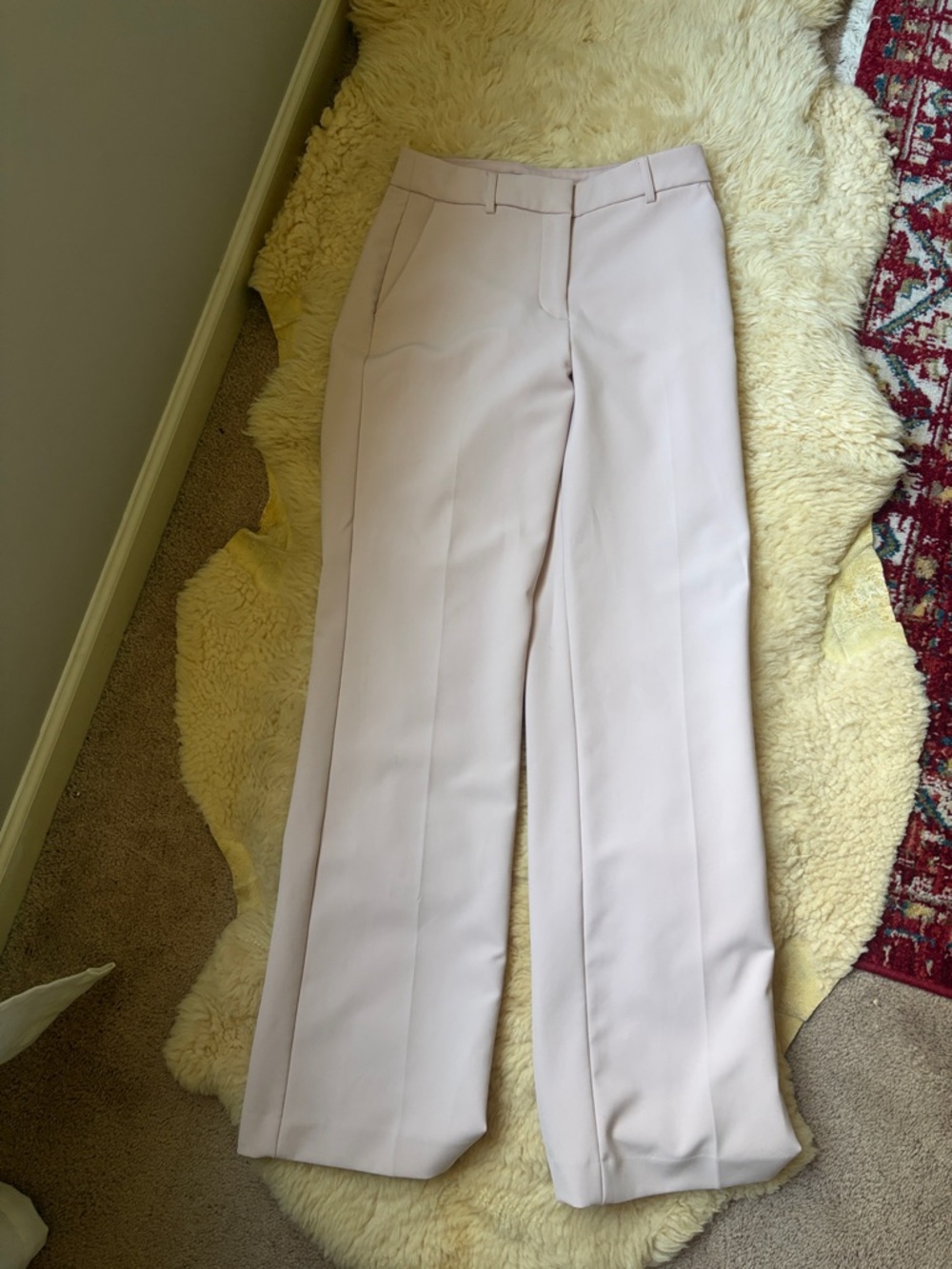 Express Wide Leg Dress Pants in Blush